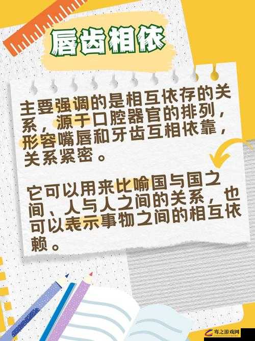 水乳交融和唇齿相依的区别：深度解析二者内涵及应用场景