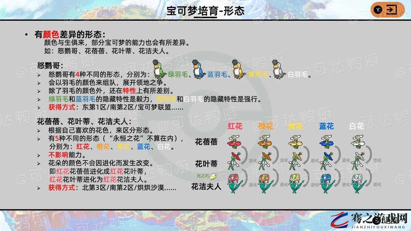 花蓓蓓的奇妙进化之旅，从可爱花朵到华丽精灵的蜕变之路