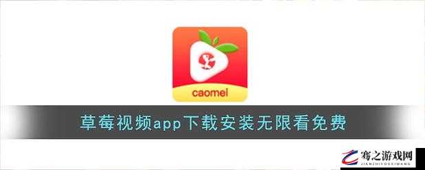 草莓 APP 视频下载安装无限看-丝瓜安卓苏州，带你领略无限精彩