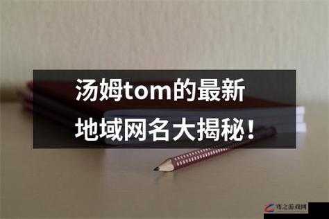 tom 永久地域网名入口究竟在哪？探寻其神秘所在