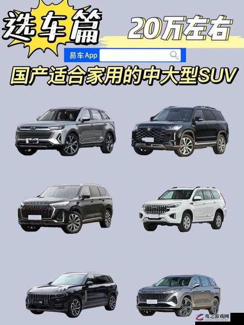 497799 欧洲版国产 SUV 特点全解析