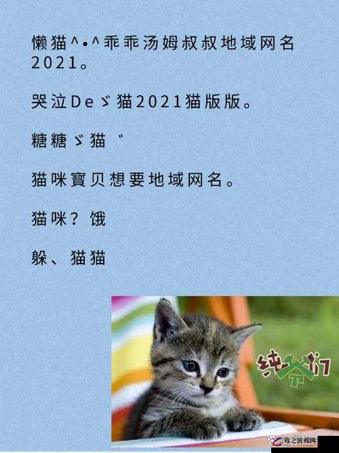 2024 猫咪最新地域网名：探寻独特的网络世界之旅