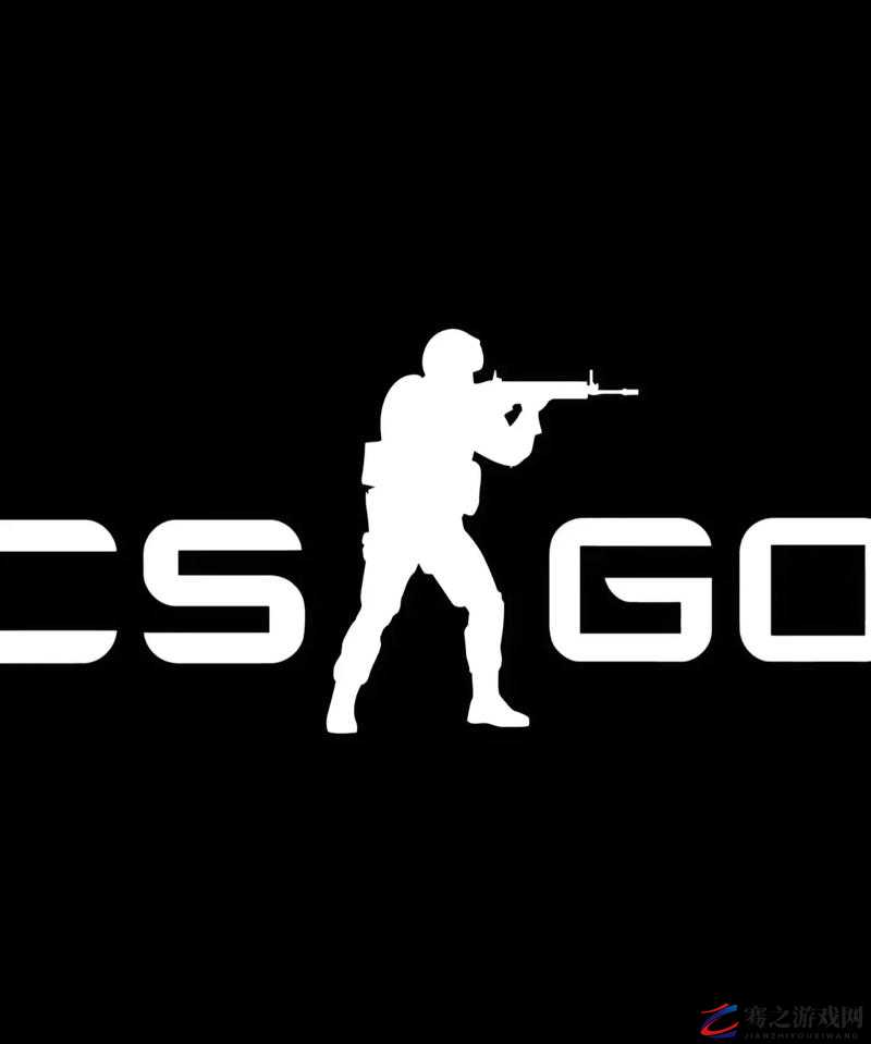 181csgo 带你领略精彩绝伦的 CS-GO 世界