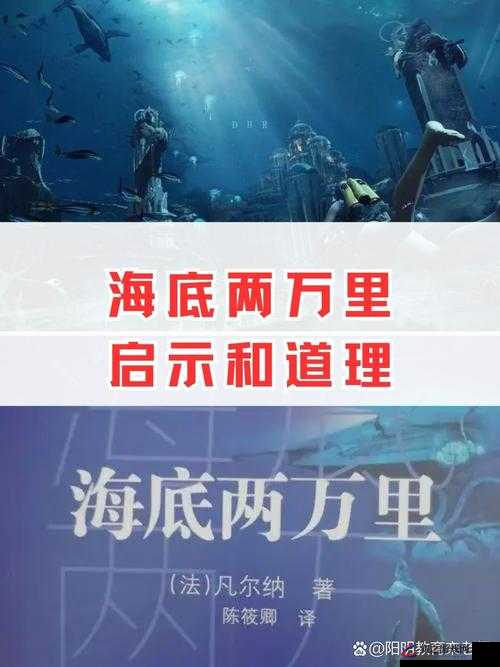 wwwwxxxx 之神秘力量的无尽探索与未知发现