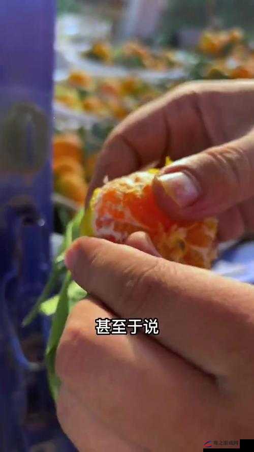 奇思妙想：用玉杵入牦户吃橘带皮，天下一奇