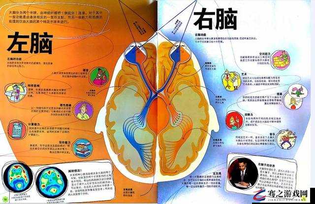 最强的大脑125，深入探索智慧极限，揭秘偷的艺术——何种偷窃行为竟不触犯法律？