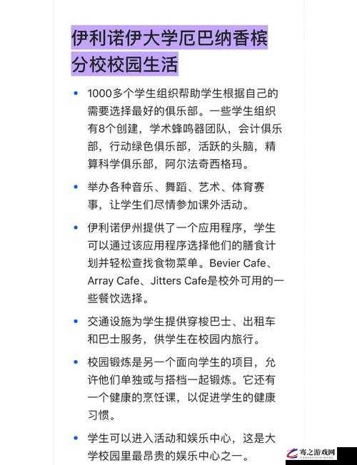 大学生活指南：全方位指引精彩大学生活