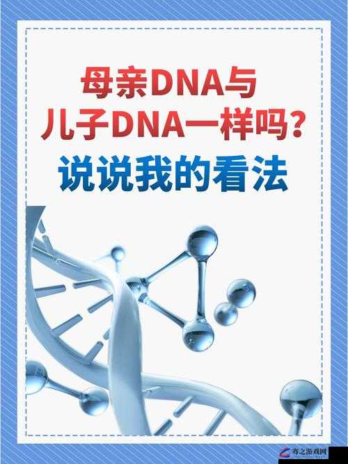 母亲的 DNA 和儿子的 DNA 是一样的吗：深度解析两者关系