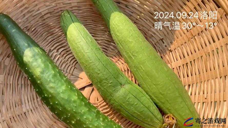 草莓丝瓜榴莲秋葵黄瓜的奇妙组合与独特魅力