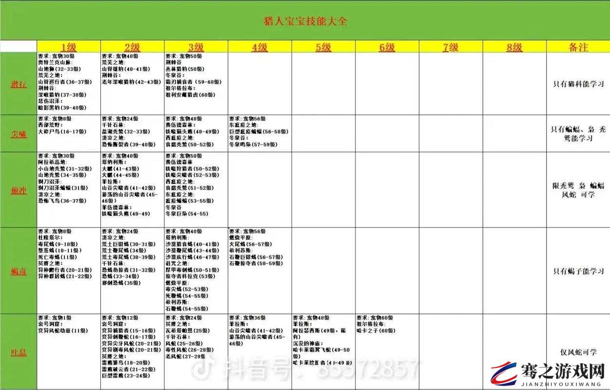 猎人40级开启新纪元，全面解析宝宝选择与培养策略