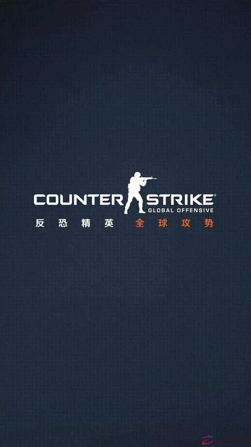 181csgo 带你领略极致 CS-GO 游戏魅力