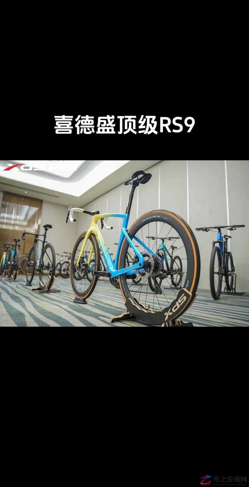 x9x9x9x9x 任意槽 2024 进口的独特魅力与创新探索