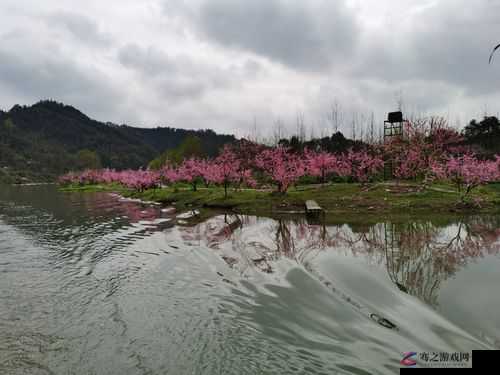 梦寻桃花源免费观看：开启一场奇幻寻梦之旅