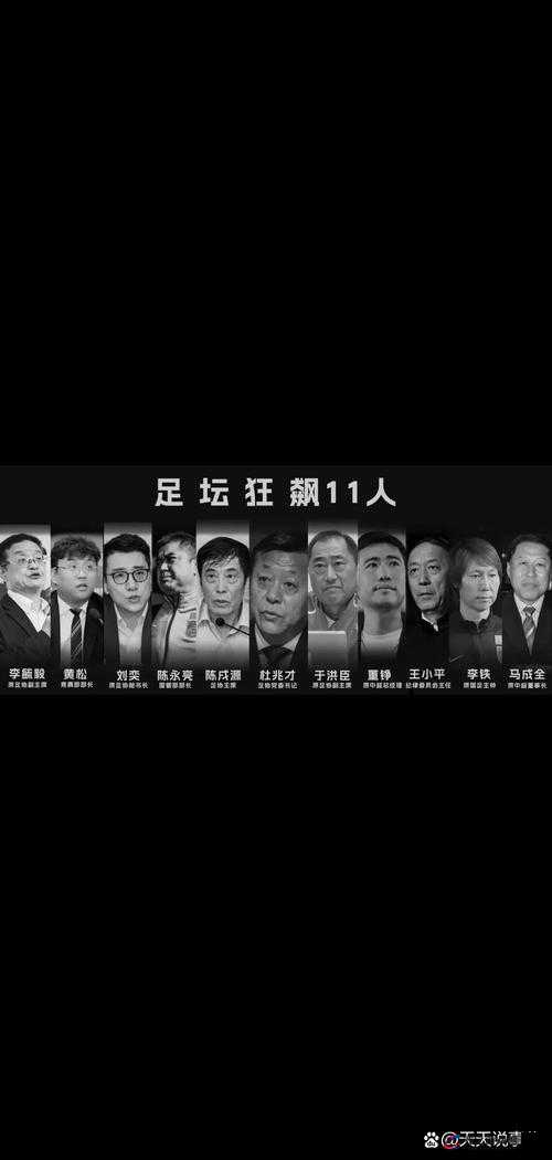 六贵族阵容的战术布局，策略智慧与团队荣耀的完美交织