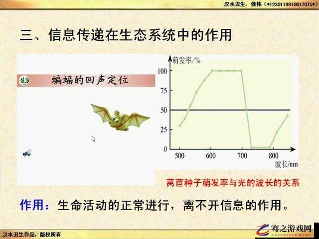 多 P 混交群体交乱安全保障的全面落实与强化举措