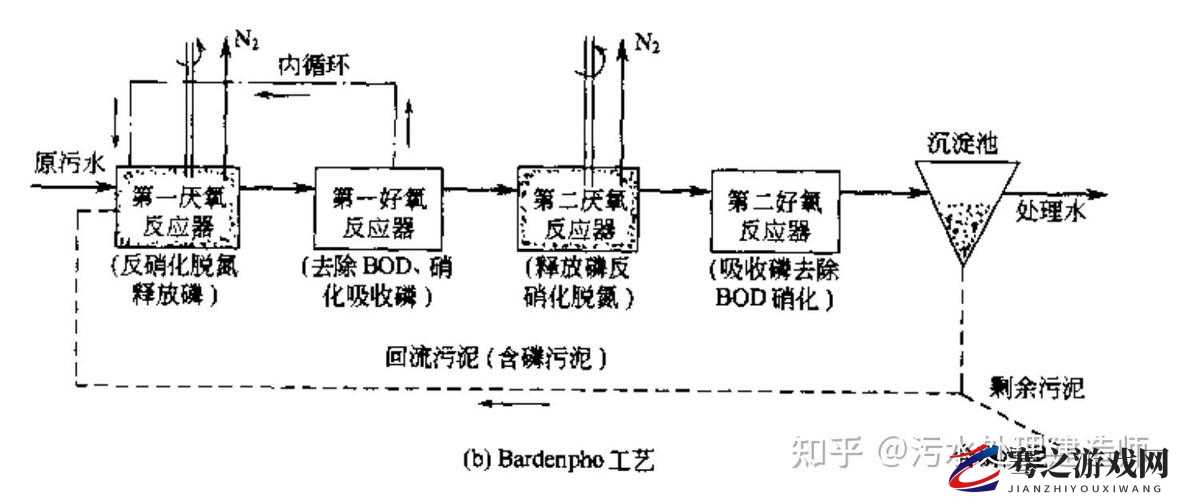 porin17 与相关生物过程及功能的深入探讨