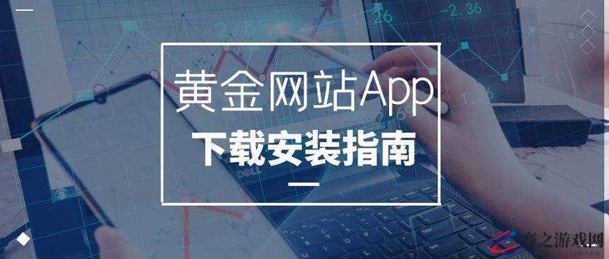 黄金网站 app 视频下载免费，安全无广告