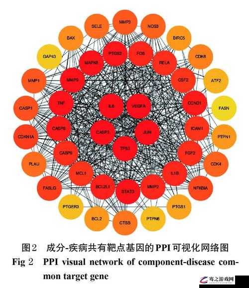 脆弱千人千色 T9T9T9 推荐机制的独特魅力与优势探讨