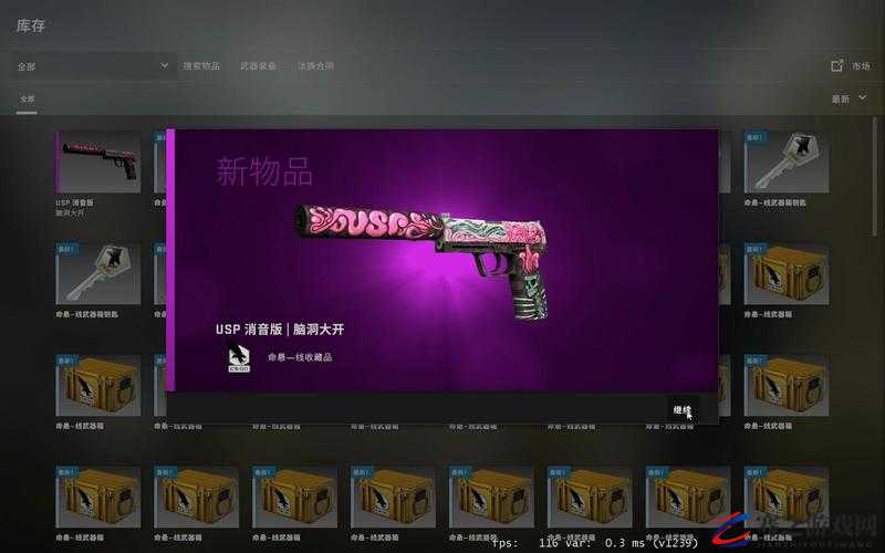 CSGO礼品包内含物品揭秘，从稀有皮肤到实用道具的全方位解析