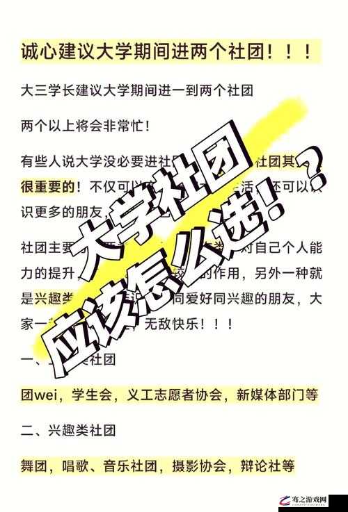 龙族幻想游戏社团退出流程详解及必知注意事项指南