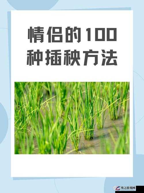 情侣的一百种插秧法表示这里只有精品发文：带你领略独特的精品世界