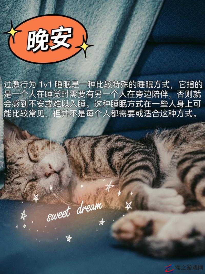 过激行为 1v1 睡眠对我很重要吗：深入探讨其背后的意义与影响