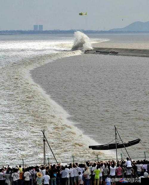 浪花一阵接一阵地涌了过来：那汹涌澎湃的壮观景象