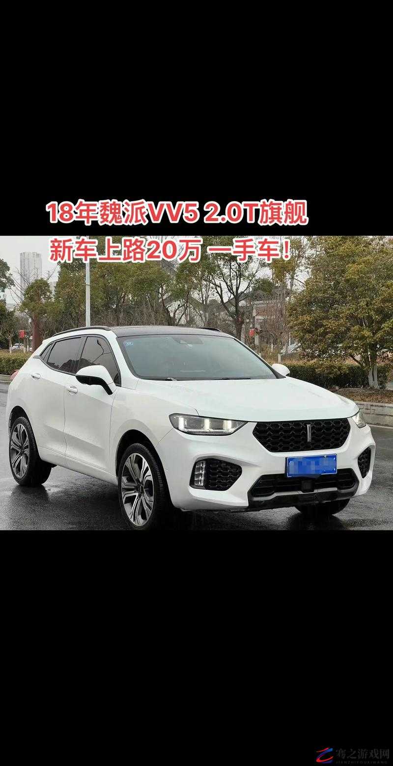 wey VV5 国产 SUV 增加收费内容？平台相关功能及服务介绍