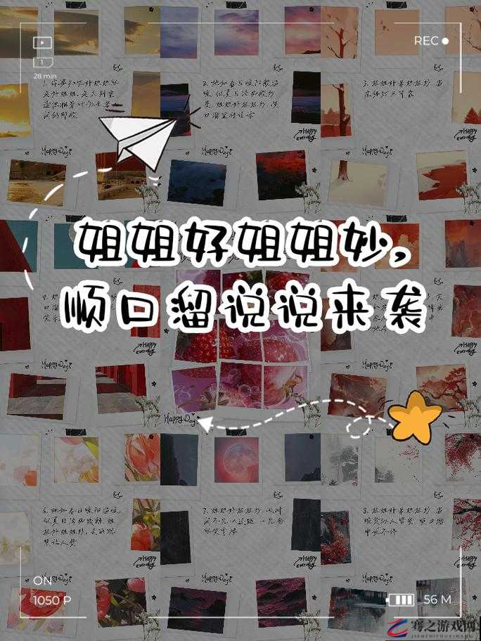 姐姐好啊姐姐妙姐姐最会歌词：展现姐姐的独特魅力与风采