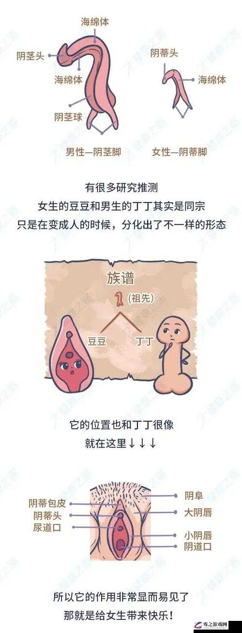 怎样才能够轻松吃到自己的小豆豆