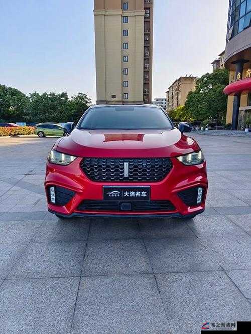 weyvv5 国产豪华 suv，引领时尚潮流