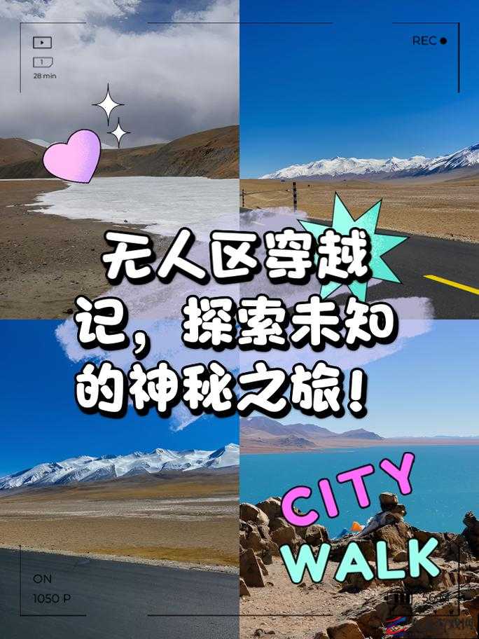 国产无人区码 SUV 带你探索未知世界的精彩之旅