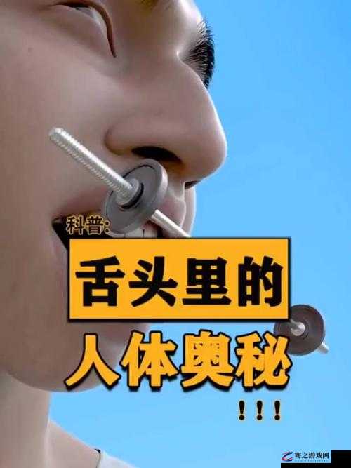 探索家中神奇的质感：舌头的奥秘