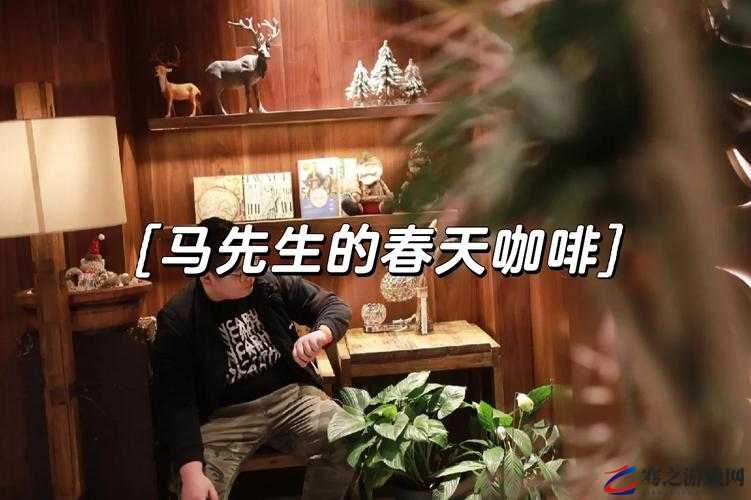 老马的春天田敏杰系列之关于他们的故事与情感发展