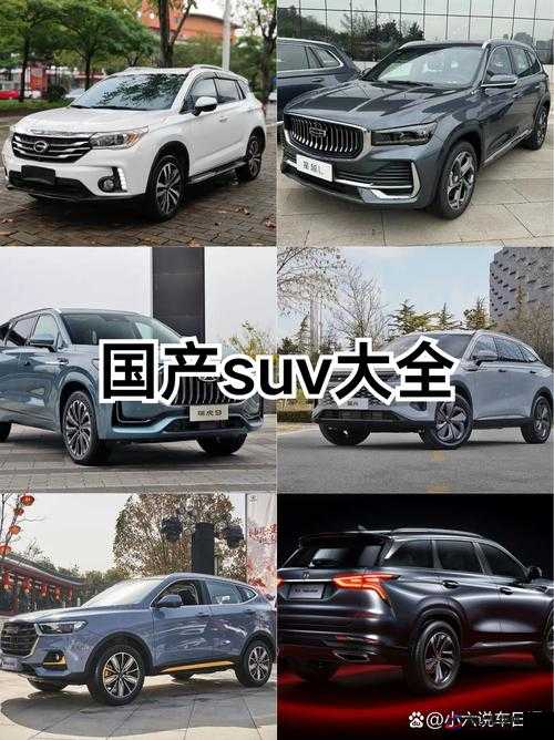 497799 欧洲版国产 SUV ：坐起来超舒服体验非凡