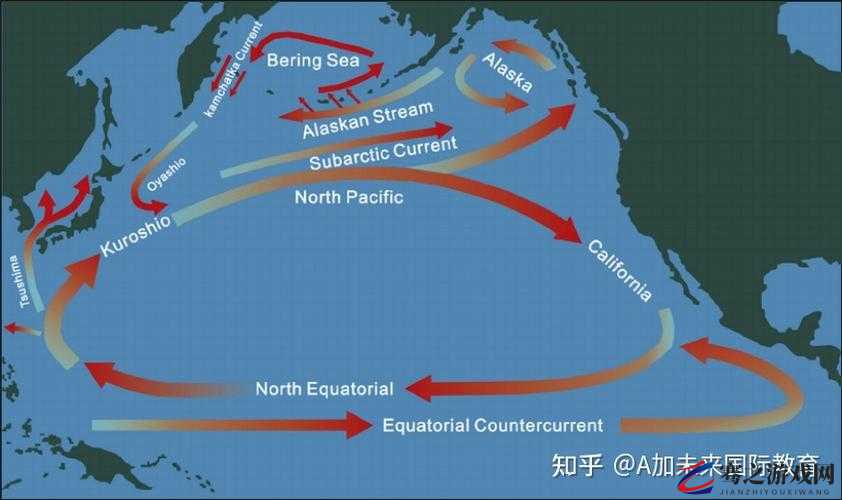 Atlanticocean 巨大停止后又恢复：其背后的原因及影响探讨