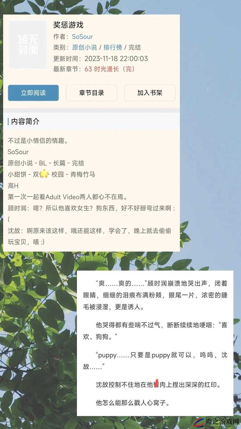 奖惩游戏 1v1sc：谁是最终的胜者