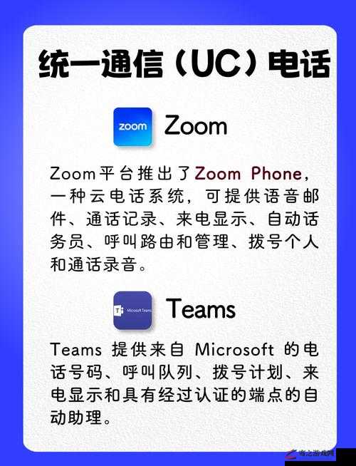 日本 Zoom 与国产 Zoom 对比：功能特点差异及各自优势分析