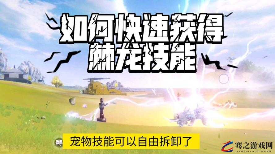 妄想山海游戏中宠物捕捉器全面获取途径及详细攻略指南