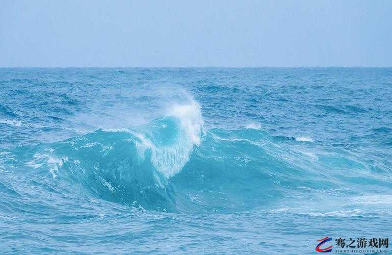 浪花一阵接一阵地涌了过来：感受大海的磅礴力量