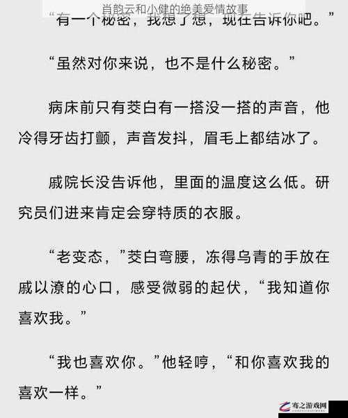 美丽的肖韵云和小健的小说：一段充满波折与温情的故事