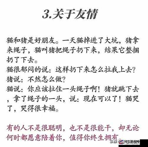 51 爆料：关于其背后不为人知的故事与深度解析