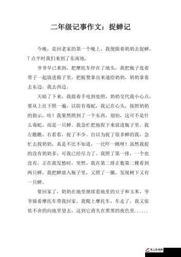 悠长假期捕蝉记，探索自然乐趣，分享实用捕蝉小技巧与经验