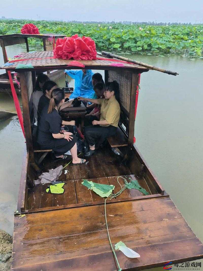 老人船上弄雨荷好吗：一段耐人寻味的故事