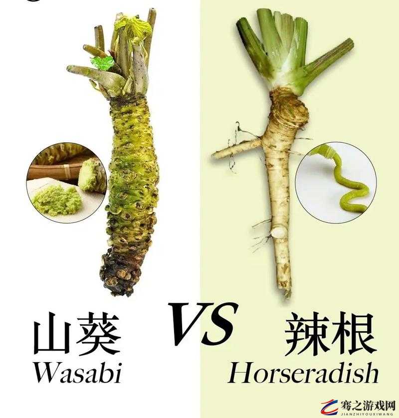 妄想山海游戏内植物种类全解析，植物图鉴大全及详细介绍