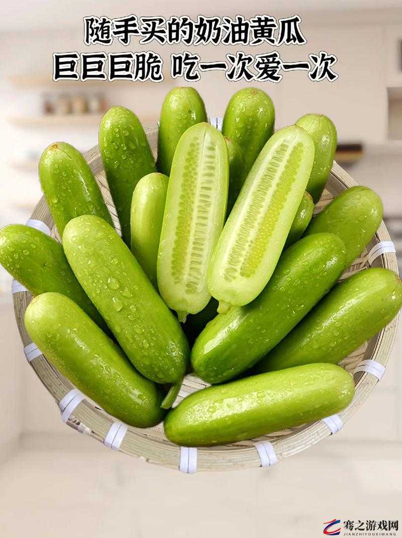 黄瓜 好爽 大 H：一场清爽的味觉盛宴