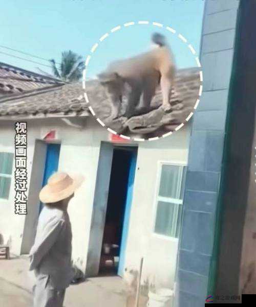 如何正确地生猴子：全过程不盖被子图片解析