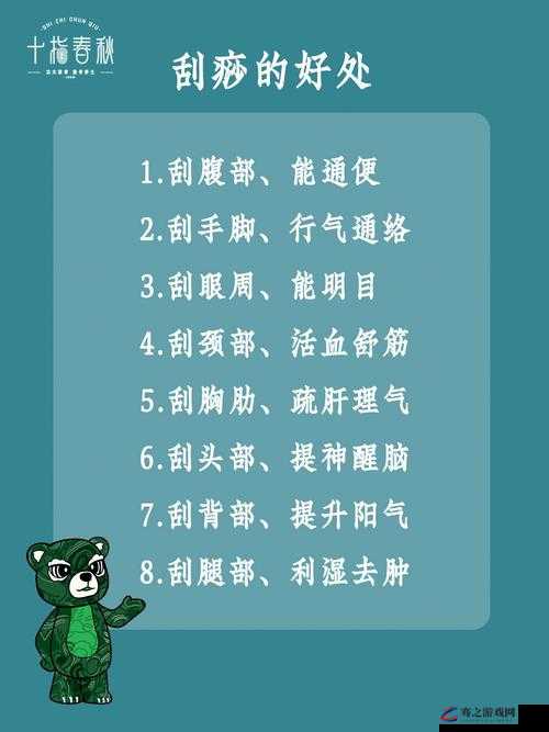 战魂铭人银藏刮痧流玩法全攻略，技能搭配、装备选择与实战技巧