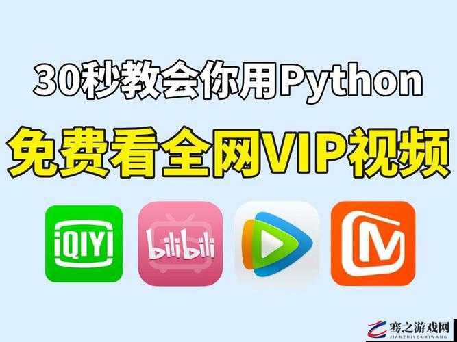 python 在线观看入口：畅享精彩影视资源