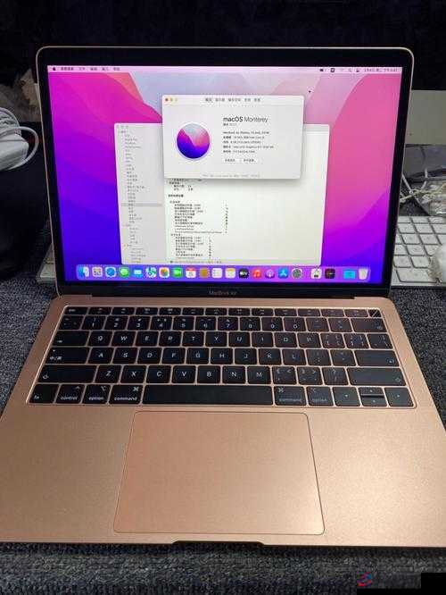 19 岁 macbookpro 免费-开启属于你的惊喜之旅